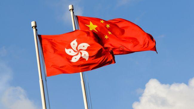 破碎的动物图形2